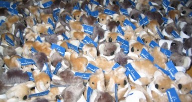 Corporate koalas in bulk