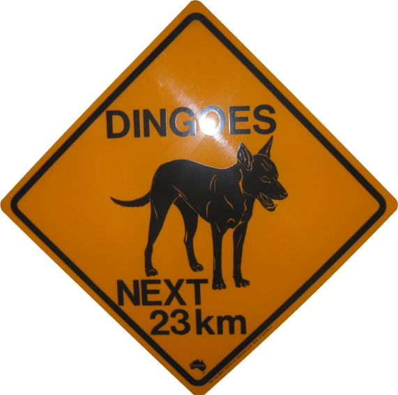 dingo road sign