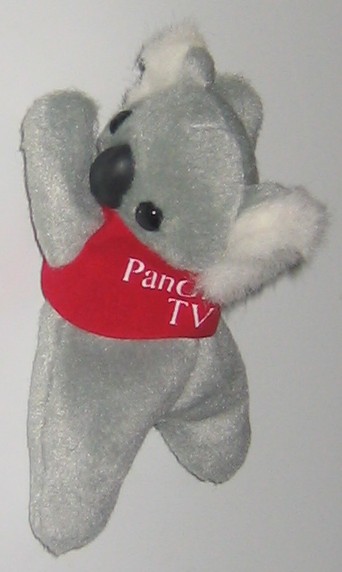 corporate koala toy - fridge magnet