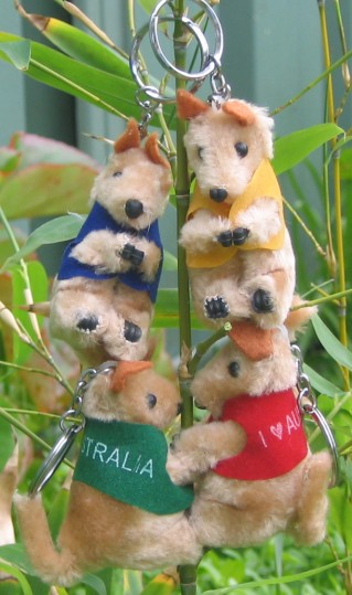 Clip-on kangaroo key rings