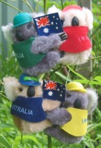 Koalas with flags, caps & vests