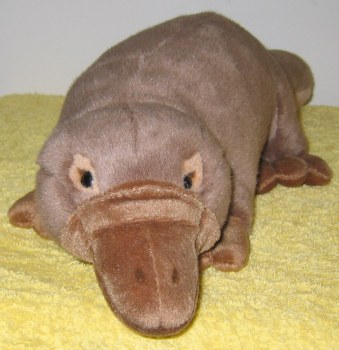 perfect platypus toy