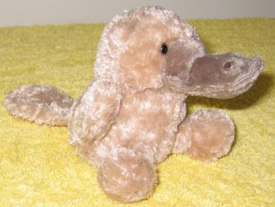platypus toy, small