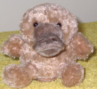 cute platypus toy, small